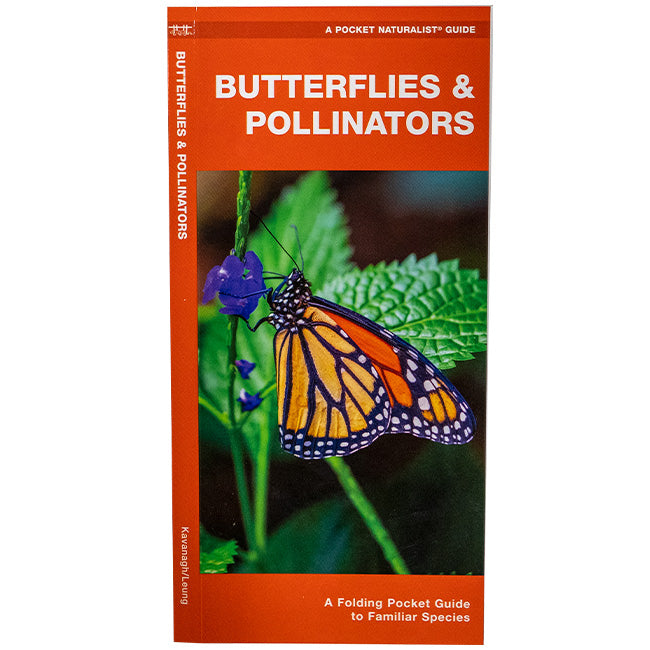 Waterford Press Butterflies & Pollinators Booklet Flying Colors