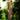 Cedar Suet Log Feeder by Prime Retreat Flying Colors